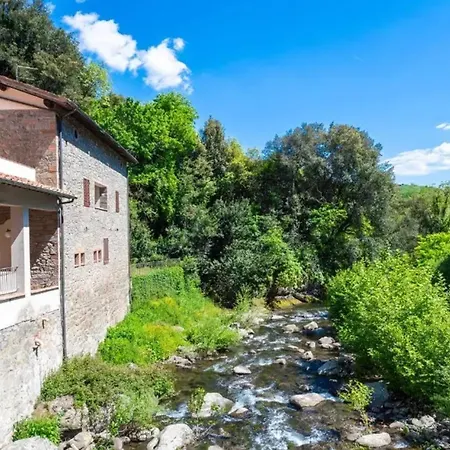 Charming With Shared Pool In